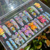 "Teddy Toybox" Extra Long Coffin, 20pcs+