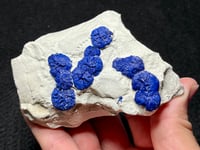 Image 7 of Azurite Suns On Matrix Specimen | NT Australia #2774