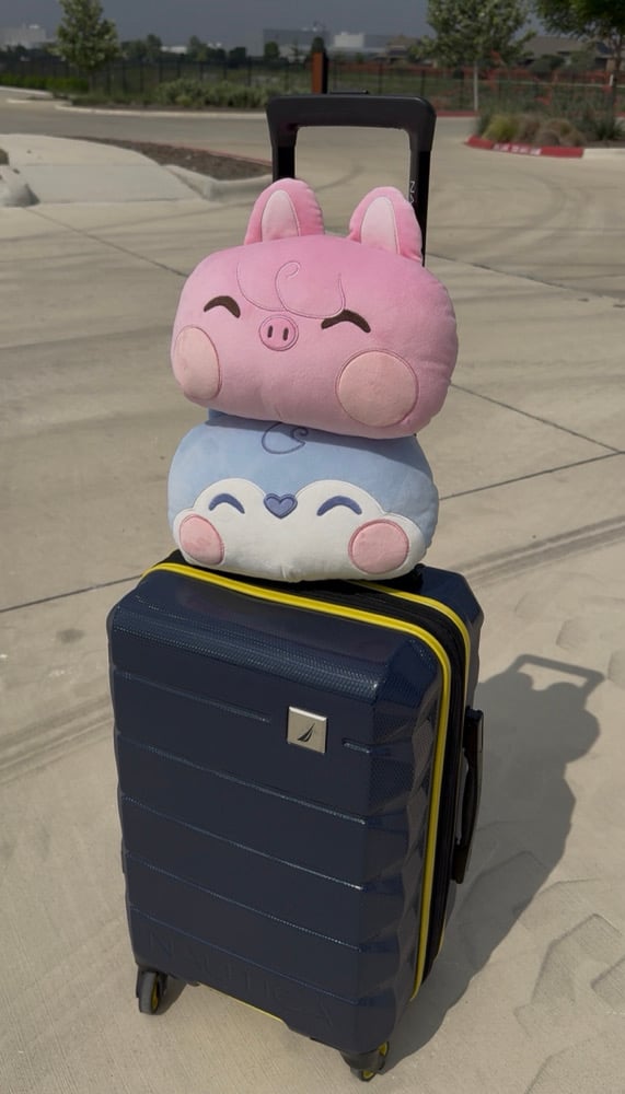 Image of PillowZ - 2 Combo Deal Set 