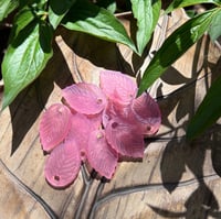 Image 1 of Pink Resin Print Leaf
