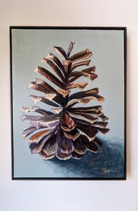 Image 2 of Long Leaf Pine Cone #3