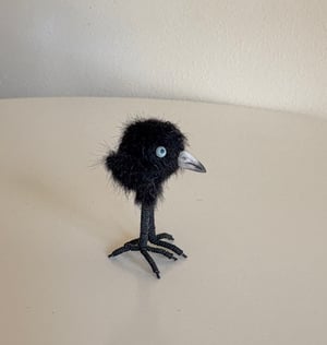 Image of Very Tiny Raven Baby #1