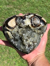 Image 17 of Septarian Nodule Polished Freeform With UV Calcite Inclusions| Madagascar #2893