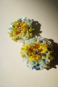 Image 2 of Spring Blooms
