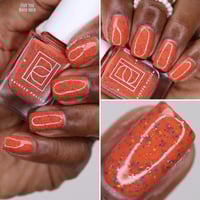 Image 7 of Fish You Were Here