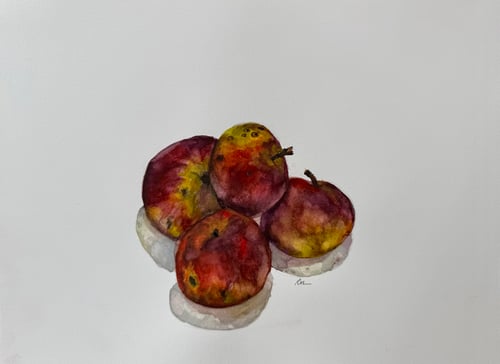 Image of Arkansas Black Apples III