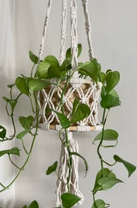 Image 2 of Natural Basket Hanger 