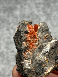 Image 6 of Crocoite Cluster Specimen From Tasmania #2424