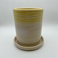 Image 1 of Sunny Daze