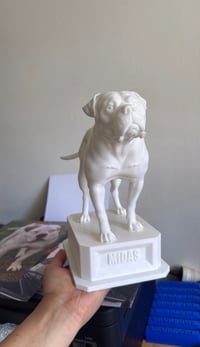 Image 1 of 3D model of your pet 