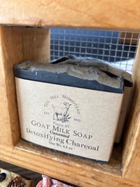 Detoxifying Charcoal