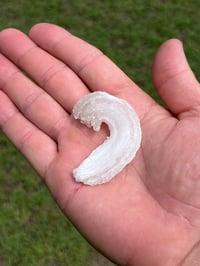 Image 16 of Ram’s Horn Selenite, Gypsum Specimen | Guizhou China #3050