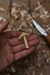 Image 3 of Mushroom pendant 