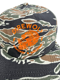 Image 2 of DIREWOLF TIGER