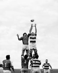 Image 7 of Daniel D’Ottavio - Rugby (Signed & Numbered)
