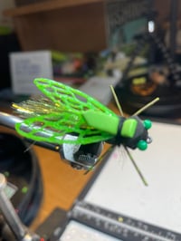 Image 4 of Carpy Cicada 