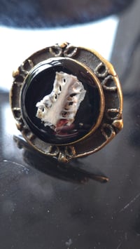 Image 4 of Crow pelvic girdle ring 