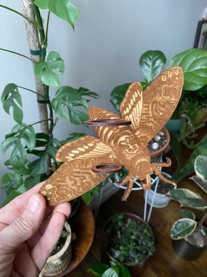 Image of Engraved Propagation Hanger - Moth
