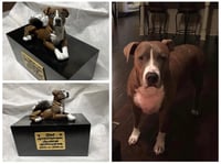 Image 7 of Handmade Custom Engraved Pit Bull Urn For Ashes Pet Portrait To Your Photos