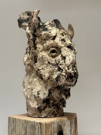 Image 3 of “Jed”