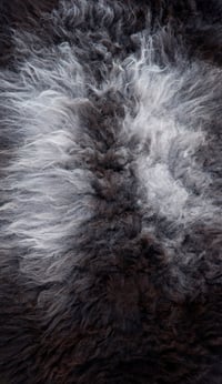 Image 3 of Harting Black Sheepskin #10