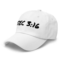 Image 5 of SEC 3:16 hat