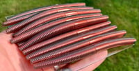 Image 1 of 5" Stick Worms - CHUPUCABRA 