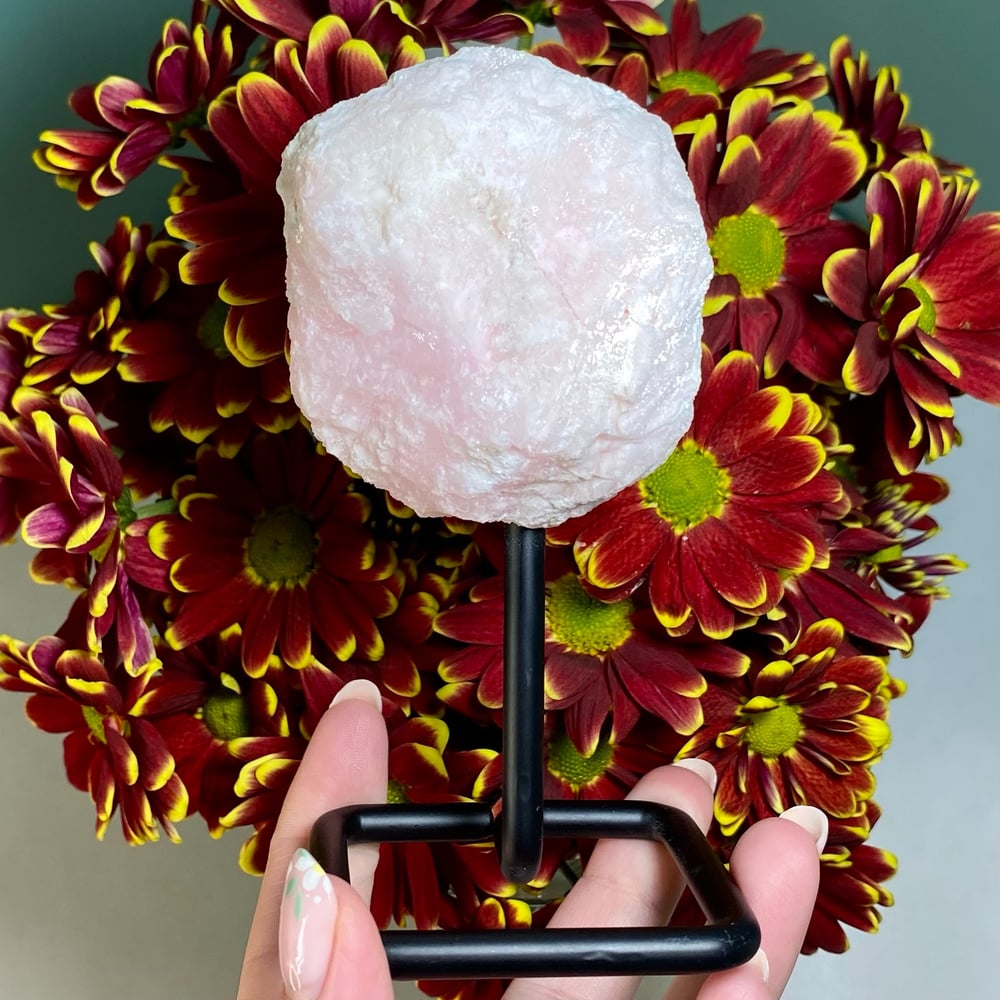 Image of Pink Aragonite (on stand)