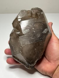Image 15 of Smoky Quartz Enhydro Multi Terminated Crystal | Zambia #2966 