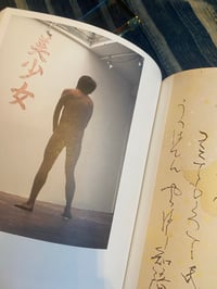 Image 5 of  Monument for Nothing, Makoto Aida, 2012.