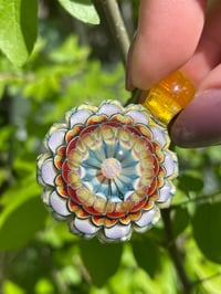 Image 2 of Sunburst Dahlia