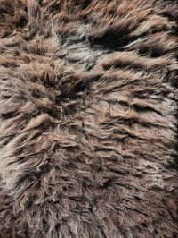 Image 3 of Harting Black #12