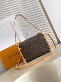 Image 11 of LV Side Trunk Bags