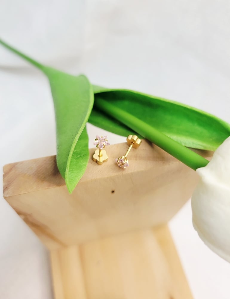 Image of Stud Earrings 