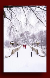Image 2 of Lady in Red 