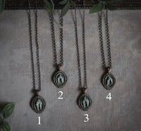 Image 3 of Tiny carnivore teeth necklace