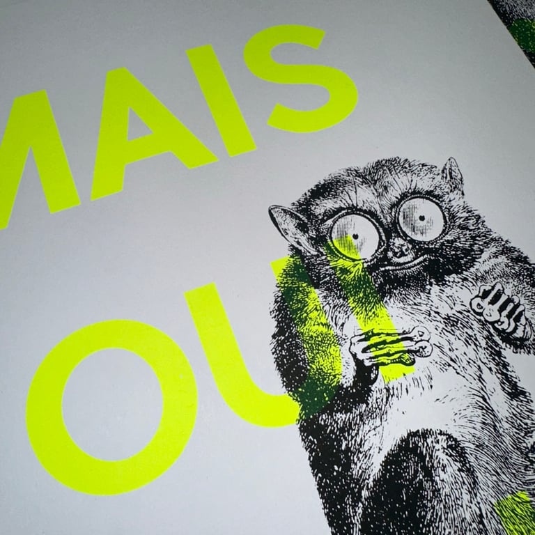 Affiche « MAIS OUI BONJOUR » version tarsier Image 2