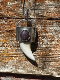 Image 4 of Wolf tooth/ Star Ruby