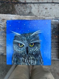 Image 5 of Acrylic Oil and Graphite painting on Wood “Owl in Starlight” by Sheila Cameron copy copy