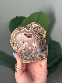 Image 1 of XL PINK AND WHITE ORBY LAGUNA AGATE