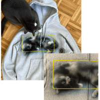 Image 5 of pet commissions