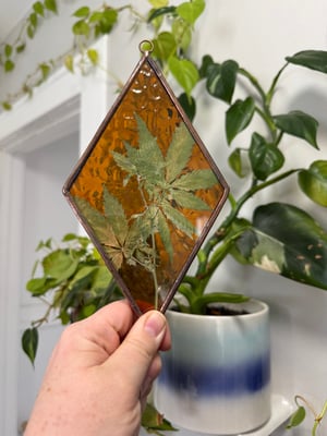 Amber Cannabis Diamond