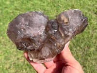 Image 17 of Smoky Quartz & Red Rutile Enhydro Multi Terminated Crystal | Zambia #3052