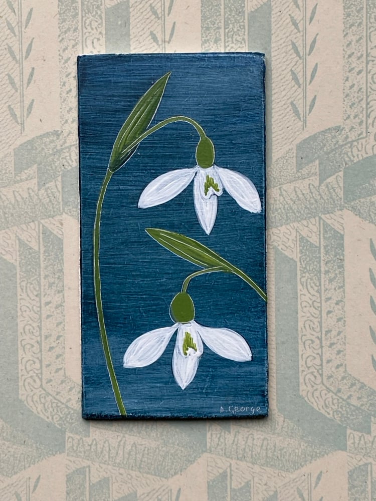 Image of Two Snowdrops 