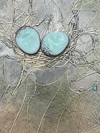 Image 2 of Sycamore Nest- Vinnie Sutherland 