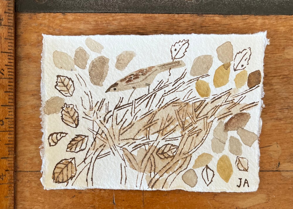 Image of Sparrow in a beech hedge ll