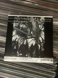 Image 2 of 7’’ Cathedral «Twylight Songs» Original