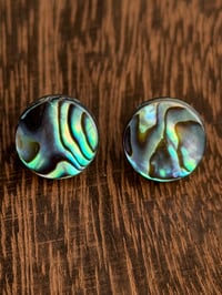 Coin Abalone Studs