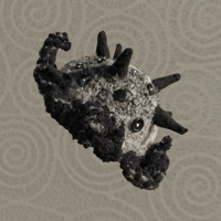 Image 2 of SWILRY SEA URCHIN