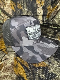 Image 3 of Tamauilpas Logo - Black Camo 